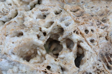 An Intricate Natural Stone Texture Featuring Unique Holes and Cavities for Exploration