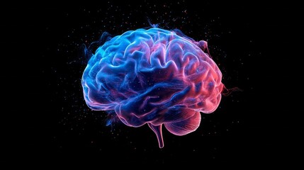 Obraz premium A brain with blue and red colors