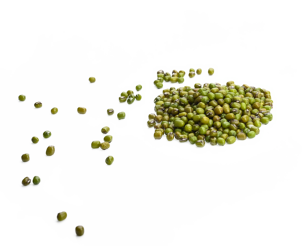 Mung bean (Vigna radiata) seeds isolated on transparen png.