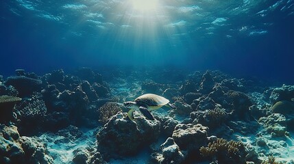 Naklejka premium A serene underwater scene featuring a turtle swimming over coral reefs with sunlight filtering through.