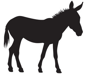 Obraz premium Silhouette of a donkey, Donkey silhouette isolated on white
