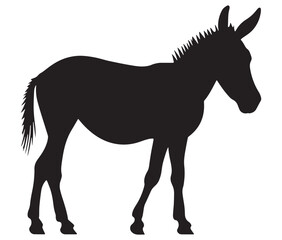 Obraz premium Silhouette of a donkey, Donkey silhouette isolated on white