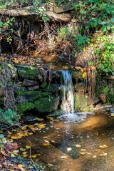 petite cascade avec ses mousses vertes et ses feuilles coulant le long d'un rocher par une belle journ&eacute;e d'automne au bord du chemin de randonn&eacute;e d'Apchat dans le puy de d&ocirc;me