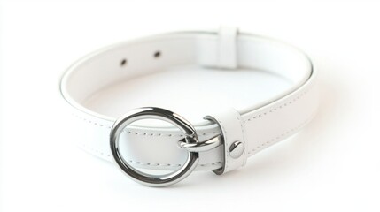Minimal white dog collar with plastic clasp and ring, isolated on a blank white background