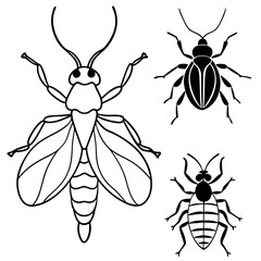 set of insects