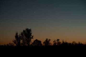 Row of trees in silhouette against a dramatic starry night at dusk in orange and gold colors, with black and dark copy space underneath