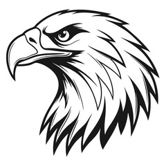 bald eagle head