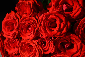 a delicate bouquet of red roses. Pile of red roses on dark background.