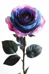 Obraz premium Single colorful rose with green leaves.