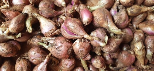 Pile of fresh red onions Sumenep or bawang merah Sumenep background Indonesia. Ready to cooked
