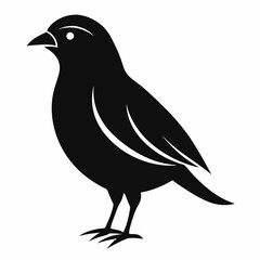 Minimalist Bird of Silhouette Vector, black and white bird illustration