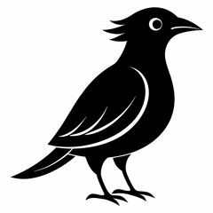 Minimalist Bird of Silhouette Vector, black and white bird illustration