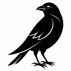 Minimalist Bird of Silhouette Vector, black and white bird illustration