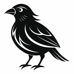 Minimalist Bird of Silhouette Vector, black and white bird illustration