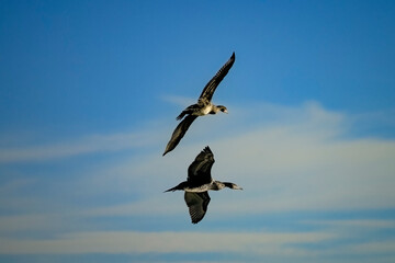 Ostseebad Kühlungsborn 2024
