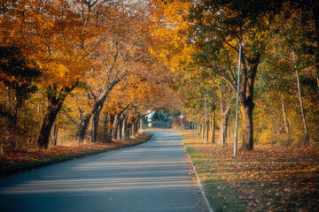 Obraz premium Ostseebad Kühlungsborn 2024