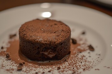 Decadent Chocolate Lava Cake with Cocoa Dusting