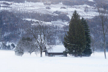 Panorama of the foggy winter landscape in the mountains
