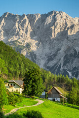 Fototapeta premium Summer Alpine landscape of the Ravenska Kocna Valley in Zgornje Jezersko, Slovenia