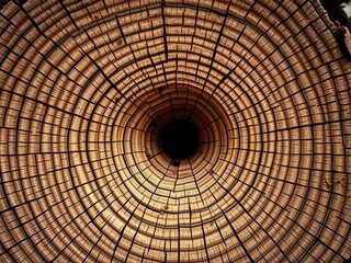 Close-up of the intricate growth rings within the heart of an acacia tree, annual, circle, intricate