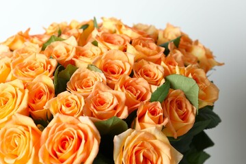 Beautiful composition with fresh roses on color background 