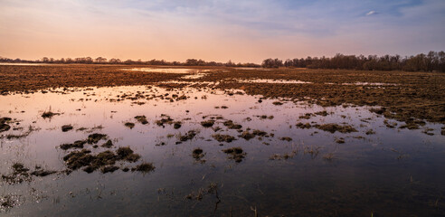 Large body of water with a lot of grass and trees in the background