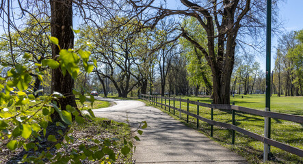 Path in a park with a fence and trees