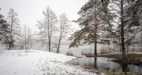 Snowy landscape with a lake and trees