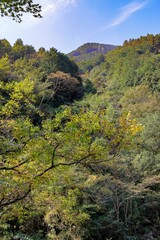 Fototapeta premium 日本周遊 四国別子峡谷あたり