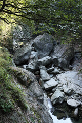 日本周遊　四国別子峡谷あたり