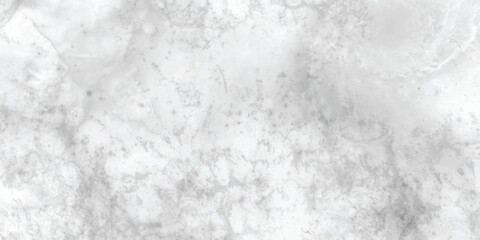 Delicate monochrome abstract art featuring intricate veining and a soft smoky effect, perfect for neutral-toned designs.
