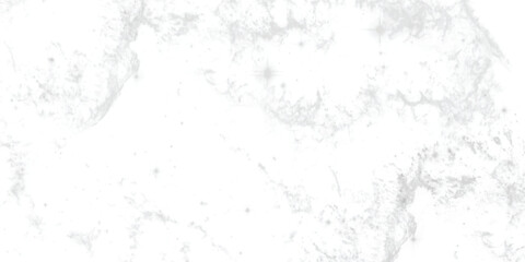 Delicate monochrome abstract art featuring intricate veining and a soft smoky effect, perfect for neutral-toned designs.
