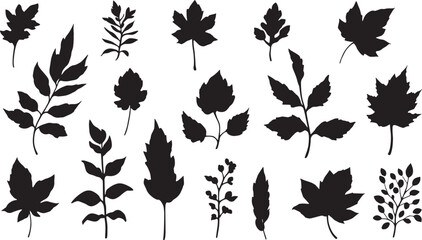 Collection of leaves vector isolated on white
