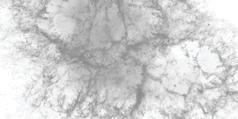 Fototapeta premium Delicate monochrome abstract art featuring intricate veining and a soft smoky effect, perfect for neutral-toned designs. 