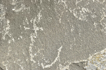 Detail Texture Of Stone As Background