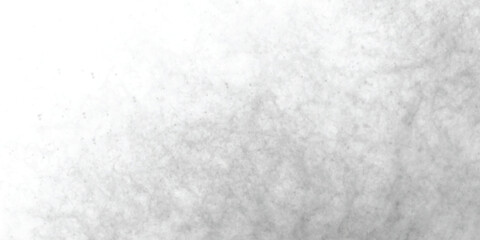 Fototapeta premium Atmospheric abstract gray texture blending natural cracked stone effects with gentle mist-like transitions. 