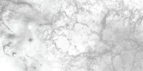 Delicate monochrome abstract art featuring intricate veining and a soft smoky effect, perfect for neutral-toned designs.
