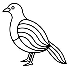 Bird of Line Art Vector Illustration on White Background