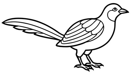 Bird of Line Art Vector Illustration on White Background