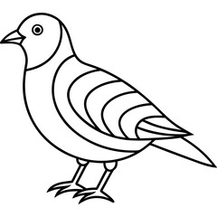 Bird of Line Art Vector Illustration on White Background