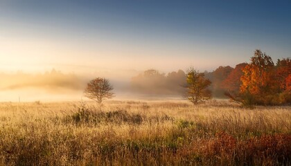 Obraz premium A serene meadow on a misty autumn morning, with golden and russet hues set against a peacef_1(127)