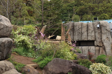 上野動物園