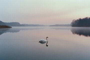 A lone swan gracefully glides across a misty lake at dawn, reflecting the soft pastel hues of the tranquil morning sky.