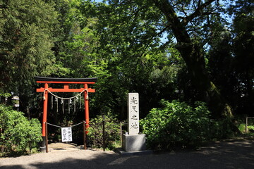 鷲宮神社