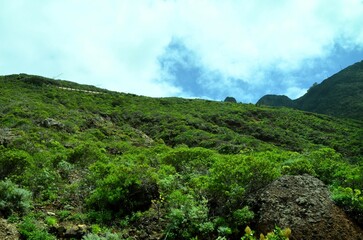 Tropical Mountains in Anaga Rural Park, Tenerife, Canary Islands