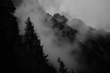 Dramatic black and white image of a misty mountain landscape, showcasing towering peaks shrouded in fog, with silhouetted evergreen trees in the foreground.