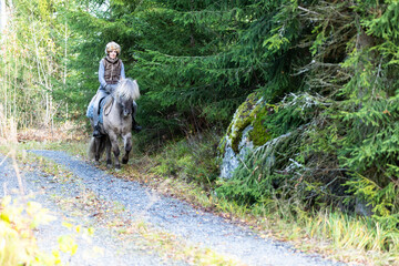 Icelandic horse riding. Rider has werewolf theme outfit