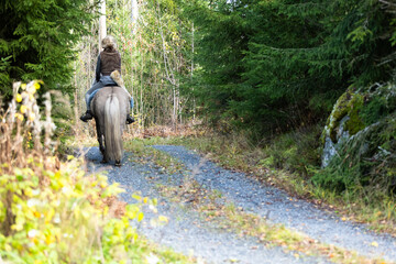 Icelandic horse riding. Rider has werewolf theme outfit