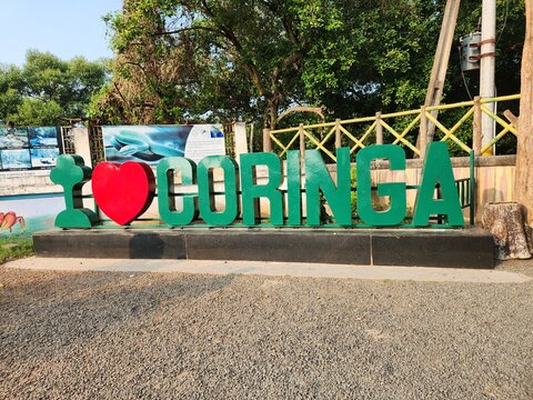 Kakinada, Andhra Pradesh India - Dec 02 2024: Coringa Wildlife Sanctuary and estuary situated near Kakinada in Andhra Pradesh, India. It is the second largest stretch of mangrove forests in India.