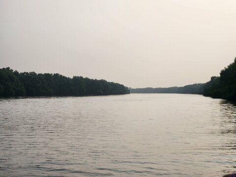 Kakinada, Andhra Pradesh India: Tulyabhaga Sagarasangam River at Coringa Wildlife Sanctuary situated near Kakinada in Andhra Pradesh. It is the second largest stretch of mangrove forests in India.